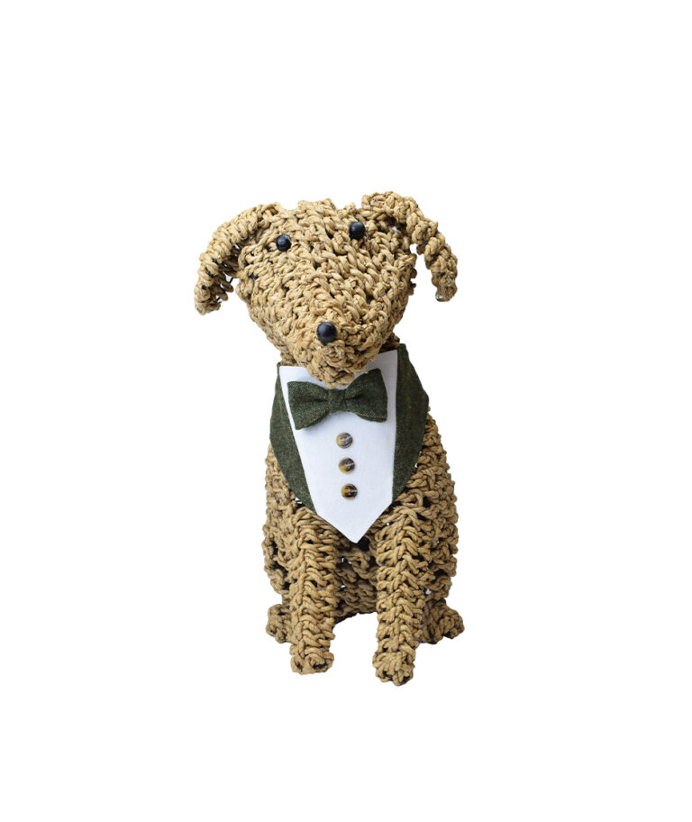 Appleton Dog Waistcoat & Bow