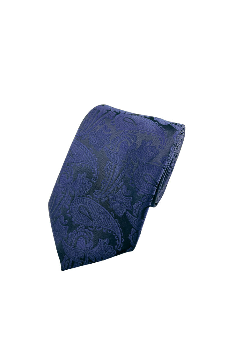 Paisley Tie Navy