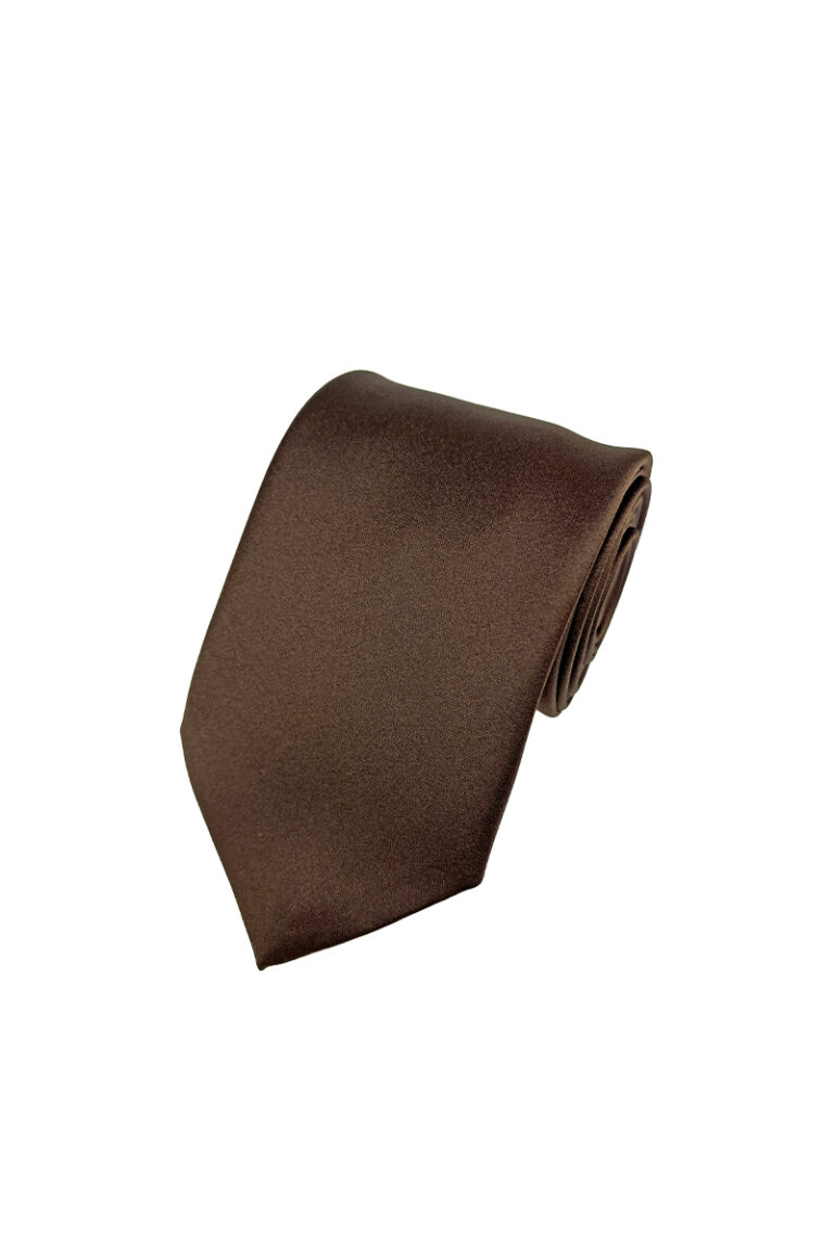 Conker Satin Tie